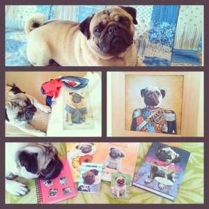 mops2